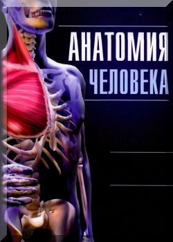 Анатомия человека. Иллюстрированный атлас