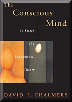 The conscious mind. In search of a theory of conscious experience