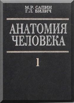 Анатомия человека. Часть 1.