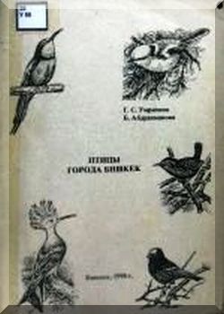 Птицы города Бишкек