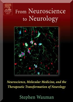 From Neuroscience to Neurology