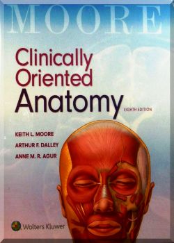 Clinically oriented anatomy. 8-Ed
