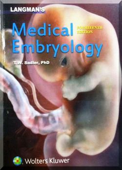 Medical Embryology