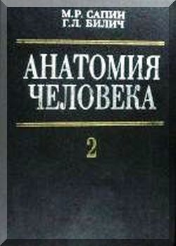 Анатомия человека. Часть 2.