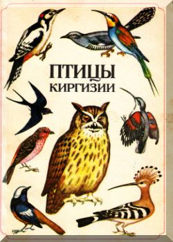 Птицы Киргизии. Часть 2