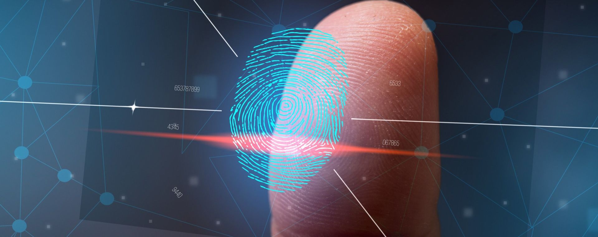 Библиотека в один клик