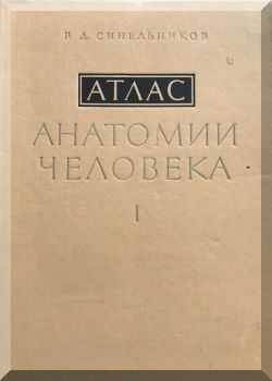 Атлас анатомии человека.
