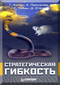 Стратегическая гибкость